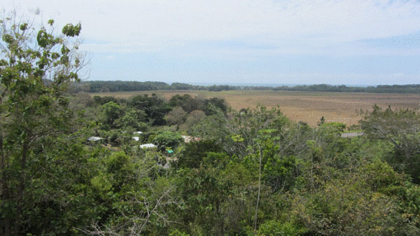 Costa Rica Real Estate - Paritta Playa Esterillos